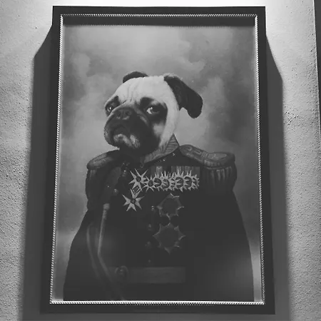 Lights Апартаменты